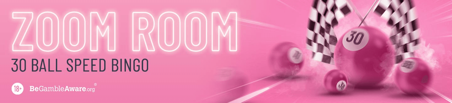 30 Zoom Room Bingo Online Review