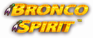 Bronco Spirit Slot