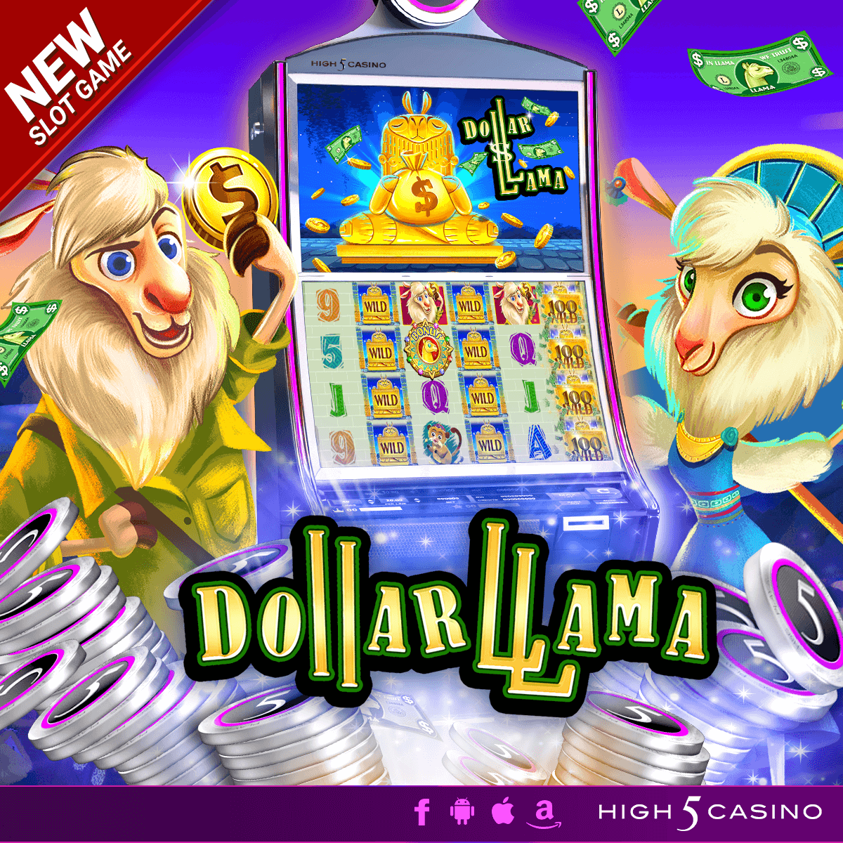 Dollar Llama Review