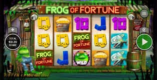 Frog of Fortune Gameplay