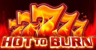 Hot to Burn Slot Review