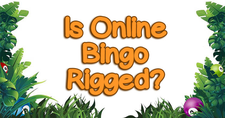 Is Online Bingo Rigged?