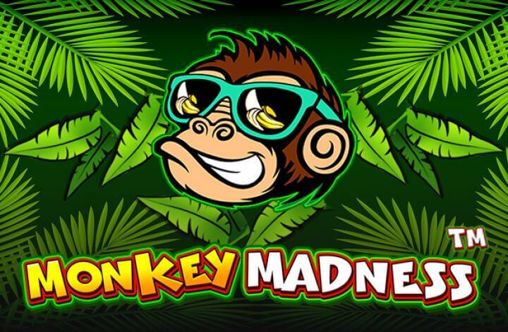 Monkey Madness Review