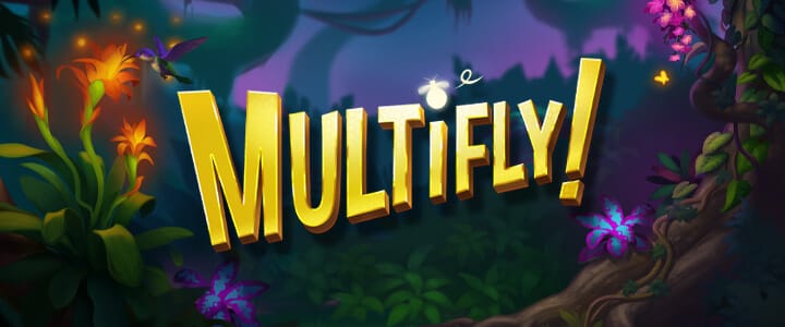 MultiFly Review