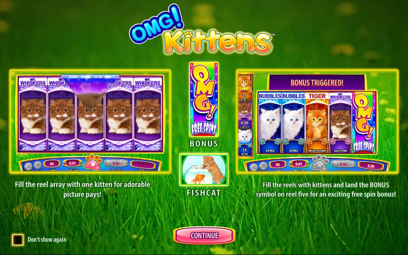 OMG Kittens Slot Bonus