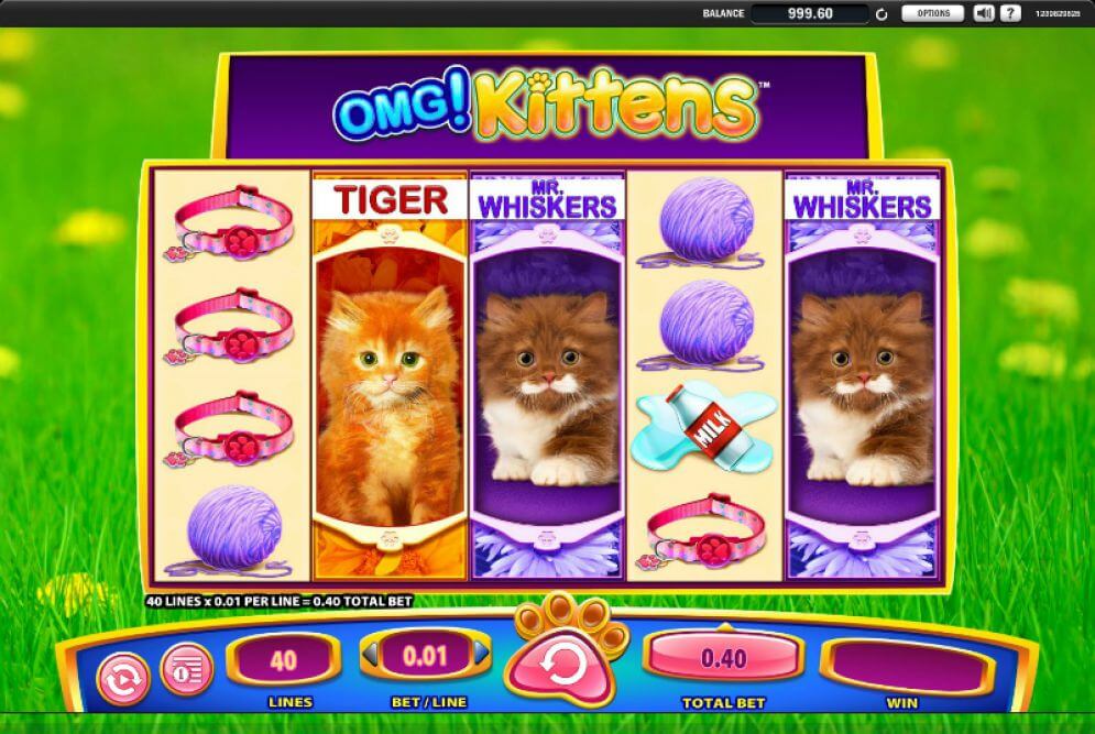 OMG Kittens Slot Gameplay