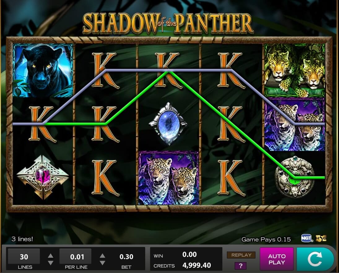Shadow of the Panther Slot Bonus