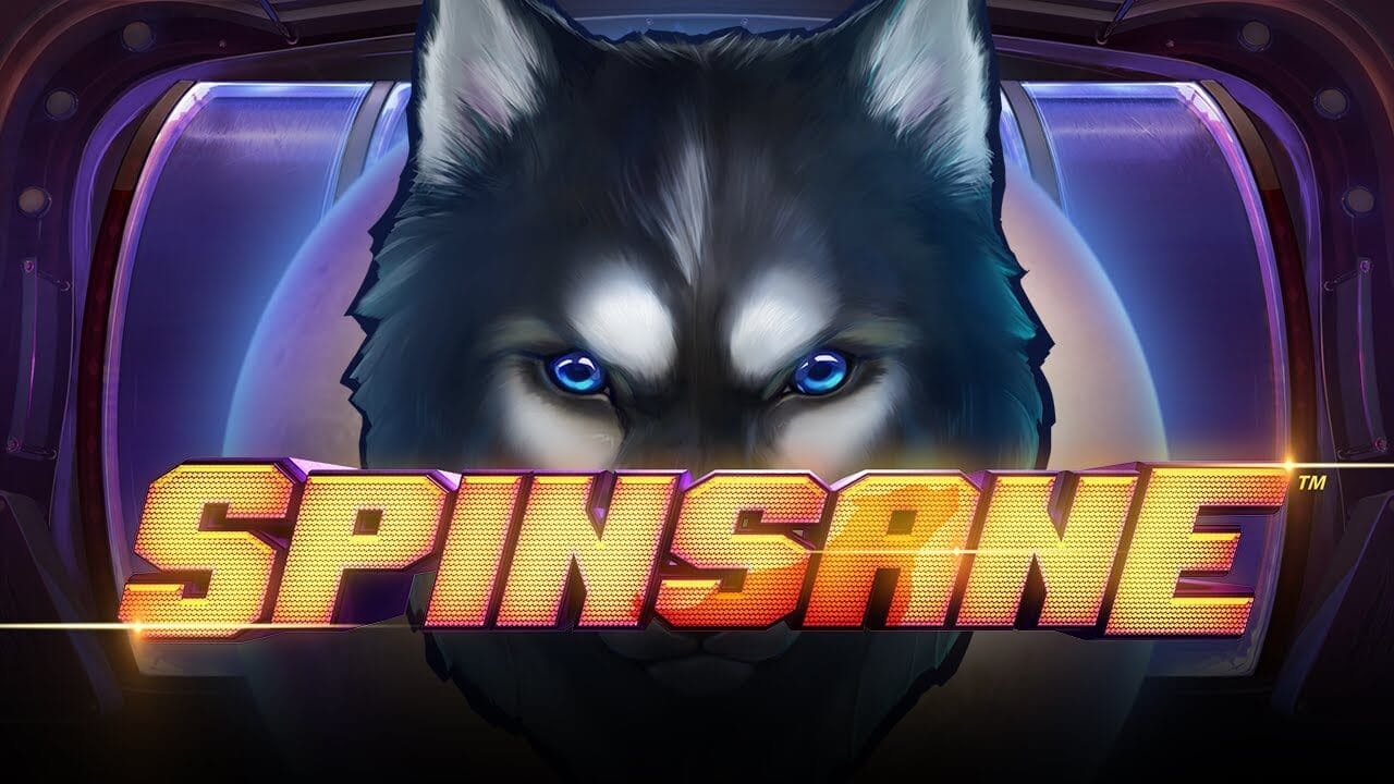 Spinsane Review