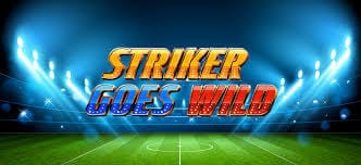 Striker Goes Wild Review