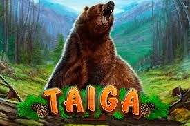 Taiga Review