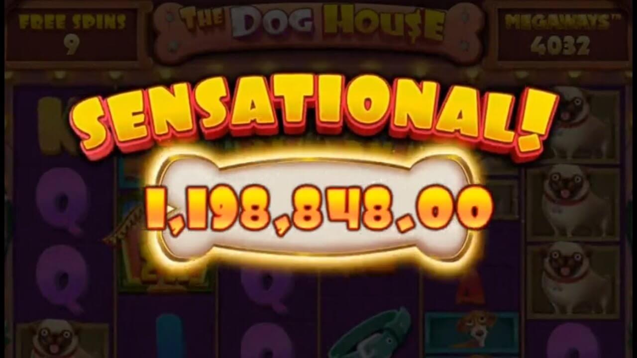 The Dog House Megaways Slot Win