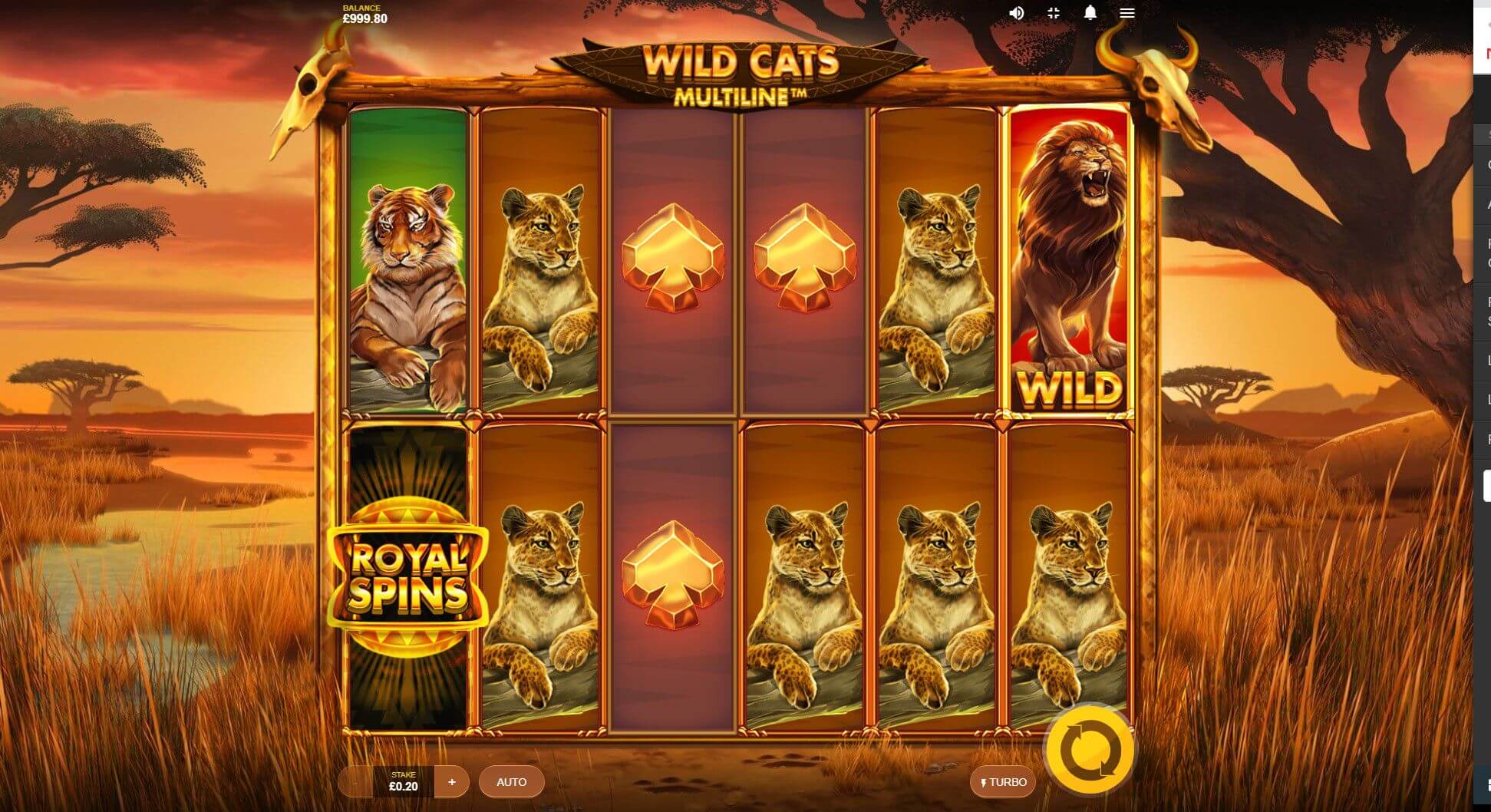 Wild Cats Multiline Slot Bonus