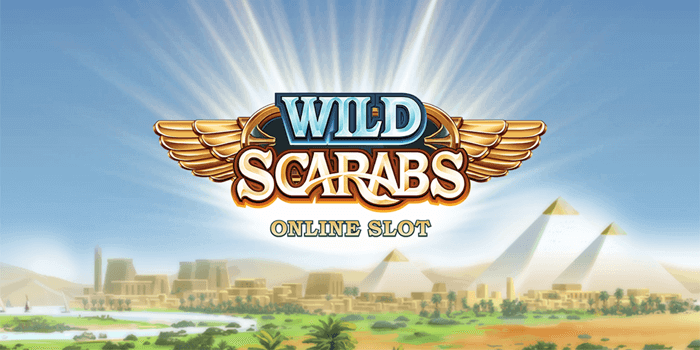 Wild Scarabs Review