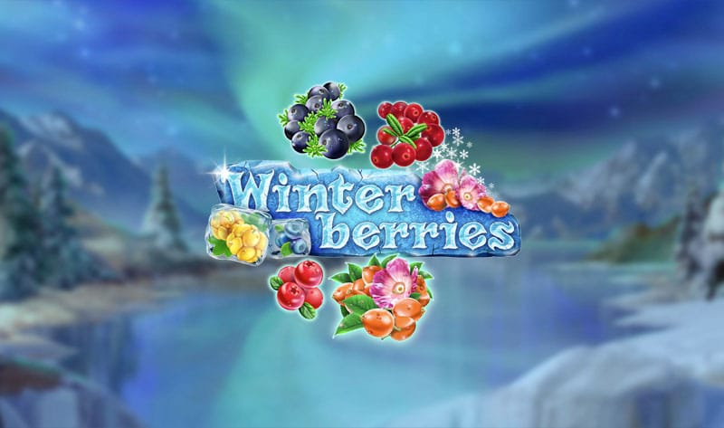 Winterberries Review