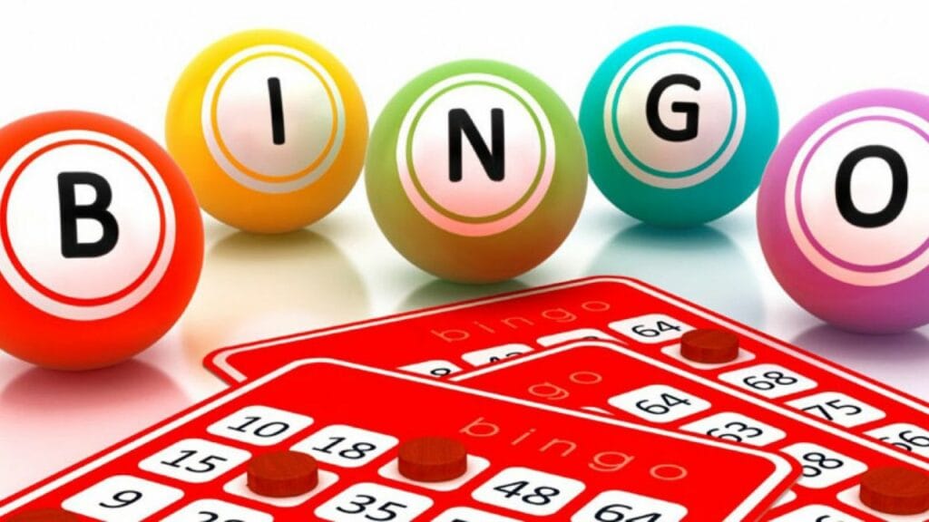 Bingo Lingo: An Ultimate Guide