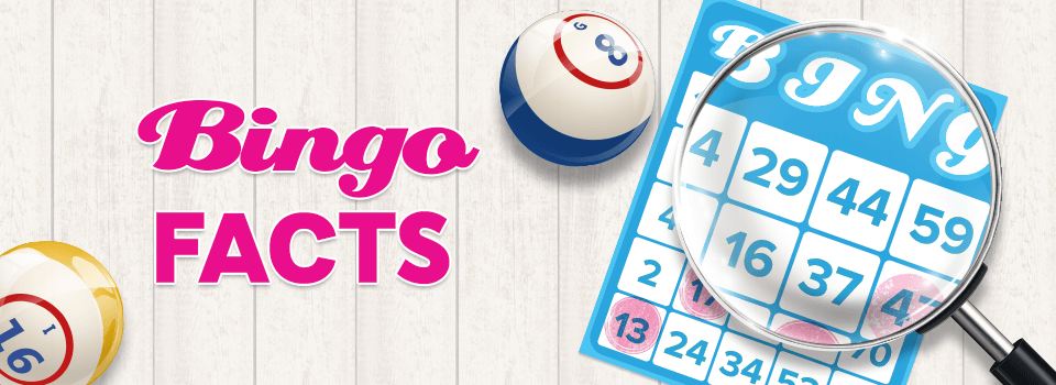 Important Bingo Facts