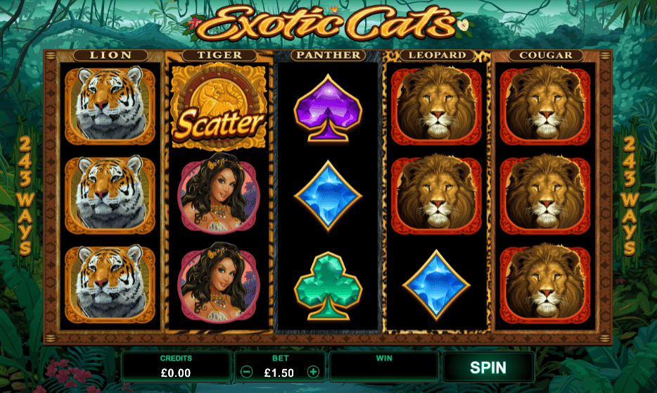 exotic cats slot spins game