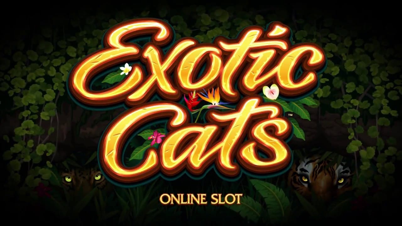 exotic cats slots spins