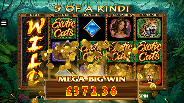 exotic cats spins slots