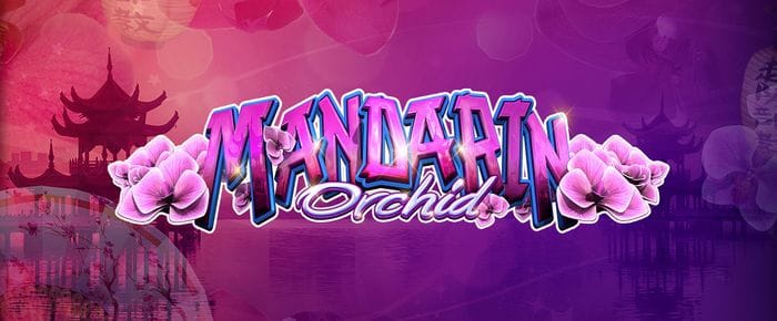 Mandarin Orchid logo