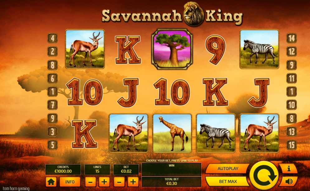 savannah king casino