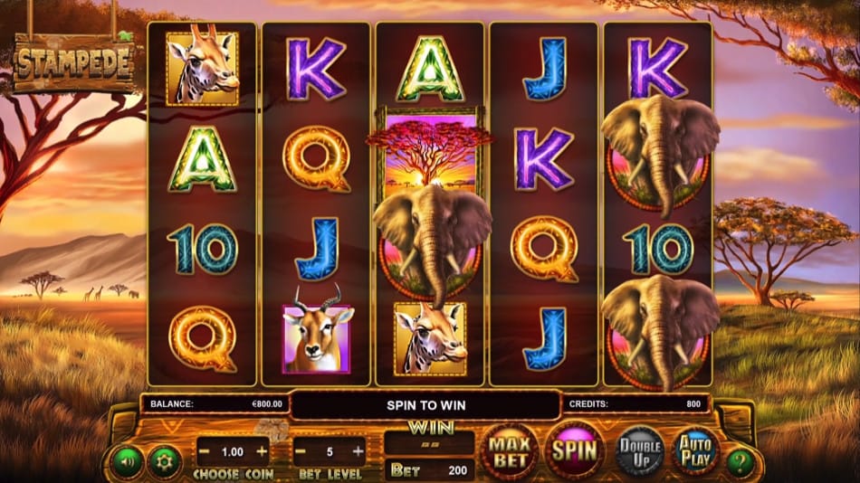 Stampede Jackpot screenshot