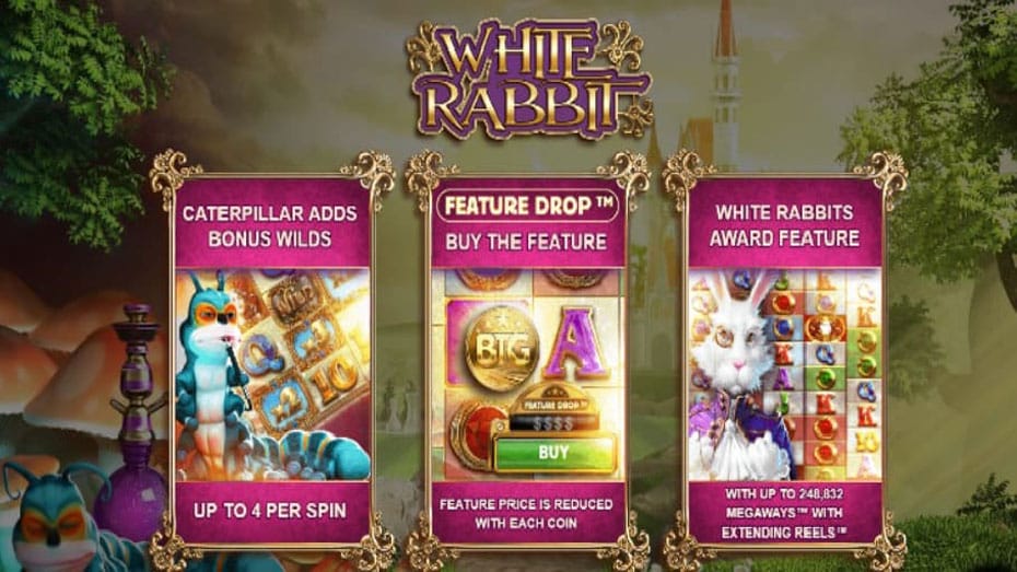 white rabbit online game help